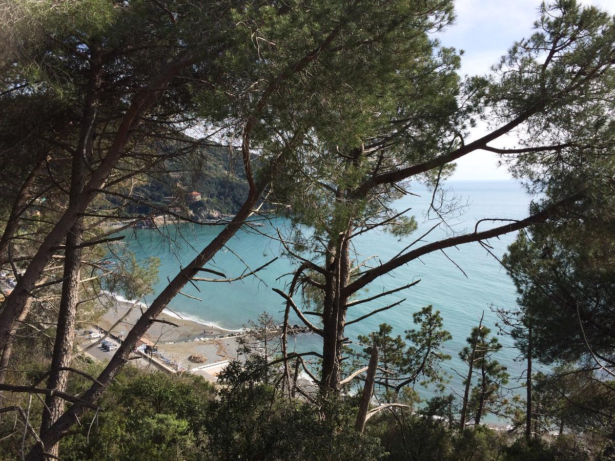La Casa Di Letizia Villa Levanto Exteriör bild